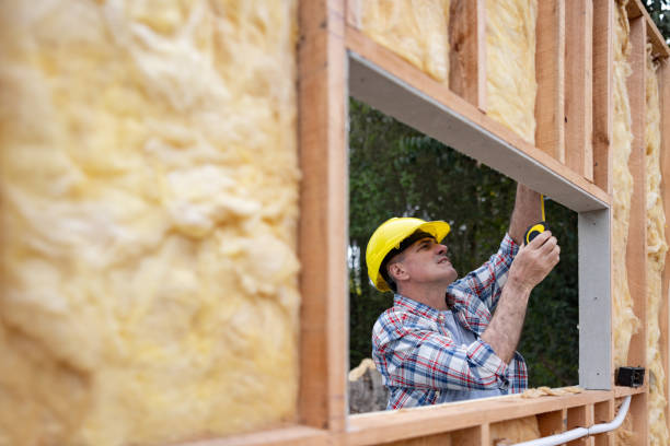 Best Wall Insulation Installation  in Owings Mills, MD